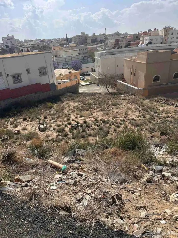 أرضين متجاورة بصك منفصل للبيع مدينة سلطان (حجلا) 2