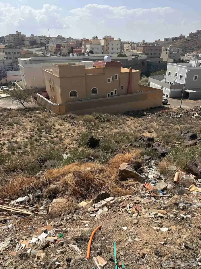 أرضين متجاورة بصك منفصل للبيع مدينة سلطان (حجلا) 3
