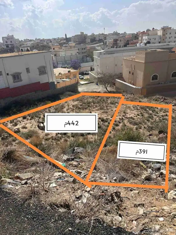 أرضين متجاورة بصك منفصل للبيع مدينة سلطان (حجلا) 0