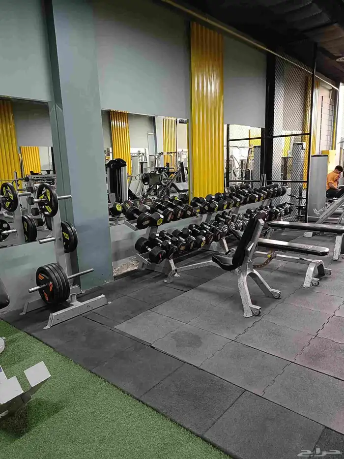 فرصة استثمارية مميزة 4