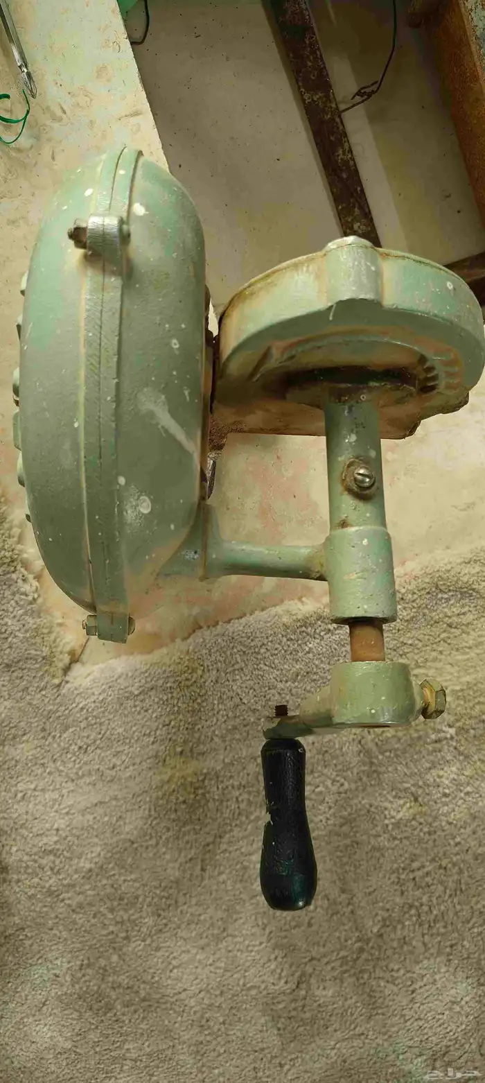 منفاخ هندي   الموقع تمير 1