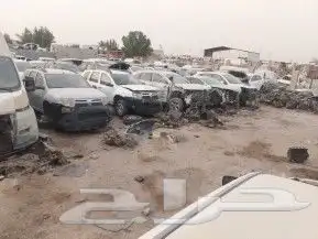 تشليح رينو ابن معتوق جميع الرينو 3