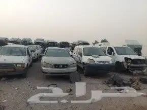 تشليح رينو ابن معتوق جميع الرينو 2