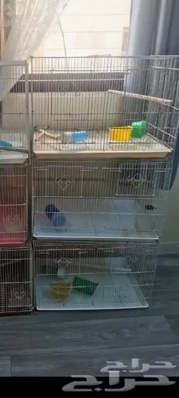 اقفاص طيور مستعملة 0