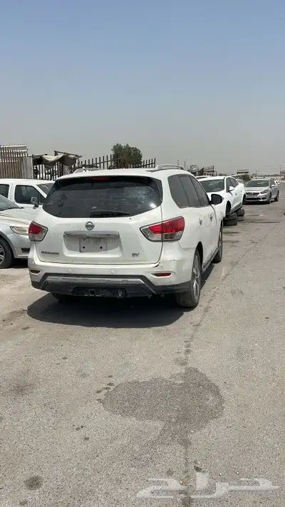 باتفندر 2014 1