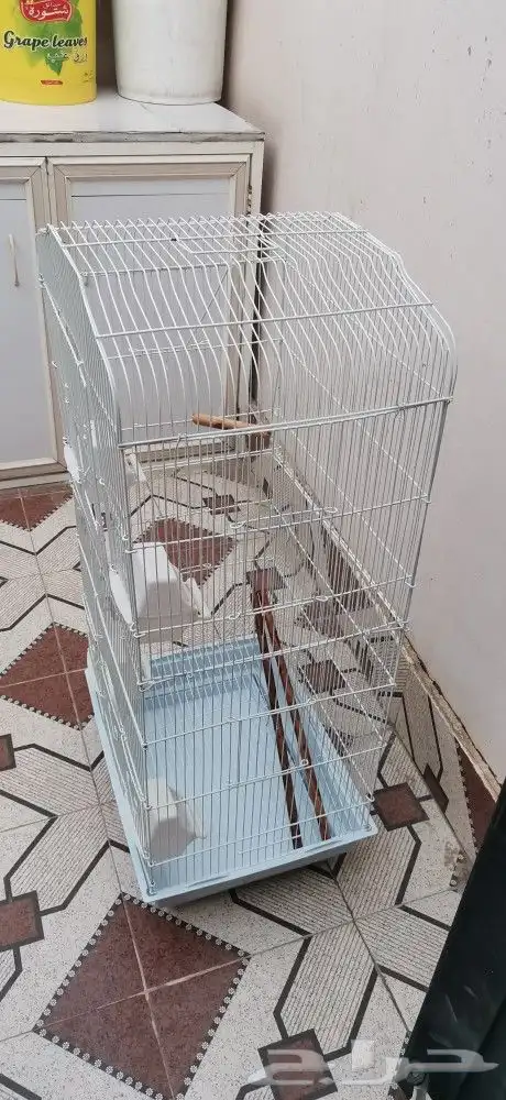 قفص طيور 1