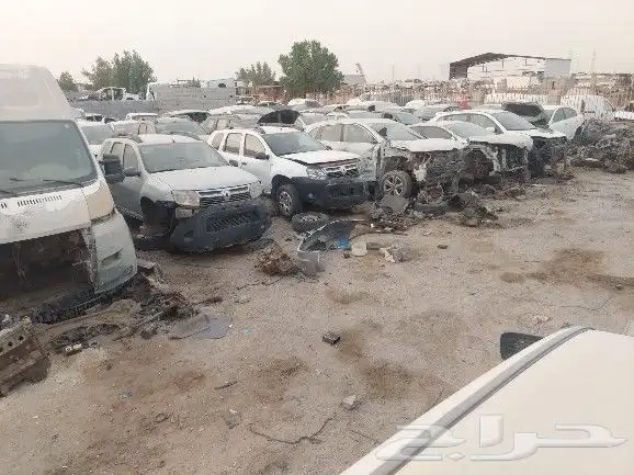 تشليح رينو ابن معتوق جميع الرينو 5