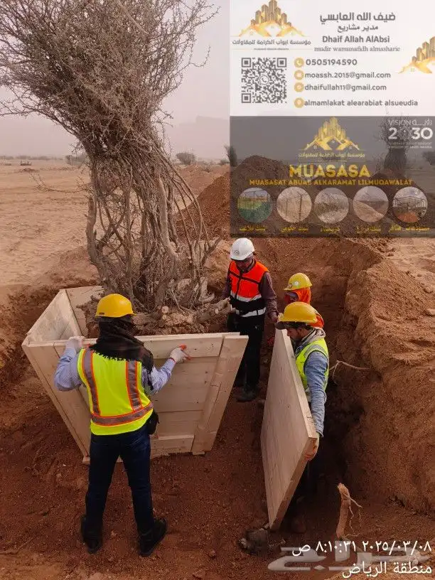 توريد وزراعة جميع انواع النخيل العربي و الوشنطونيا والأشجار 6