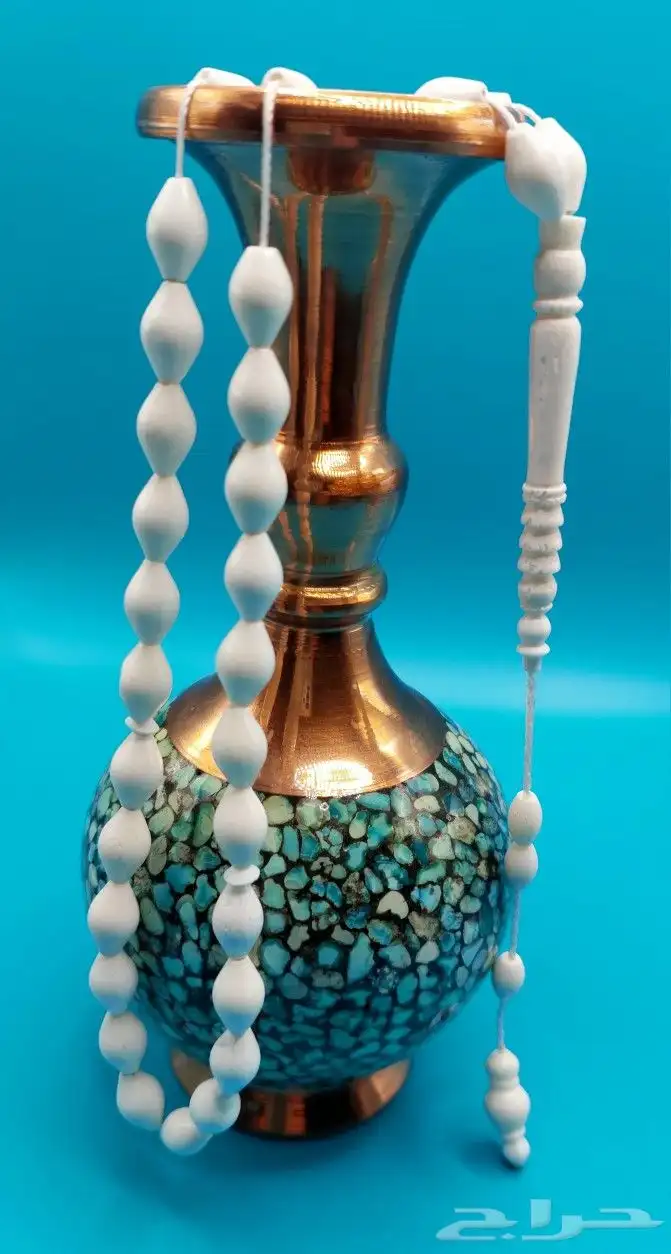 سبح عظم جمل 0