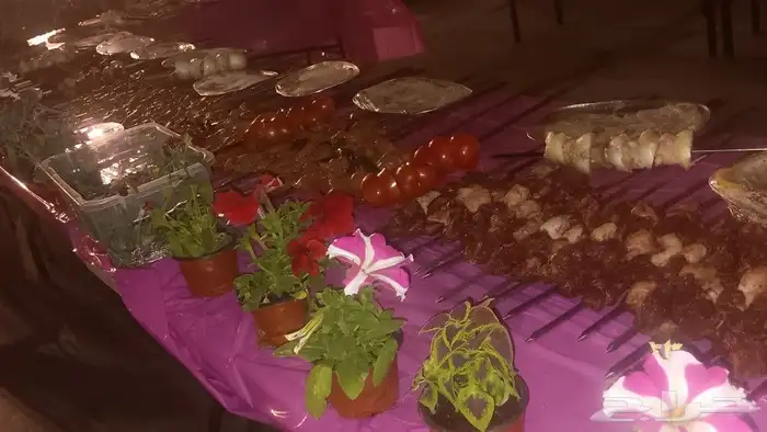 مشويات وشاورما في الاستراحات والمخيمات والمخيمات حسب الطلب 4