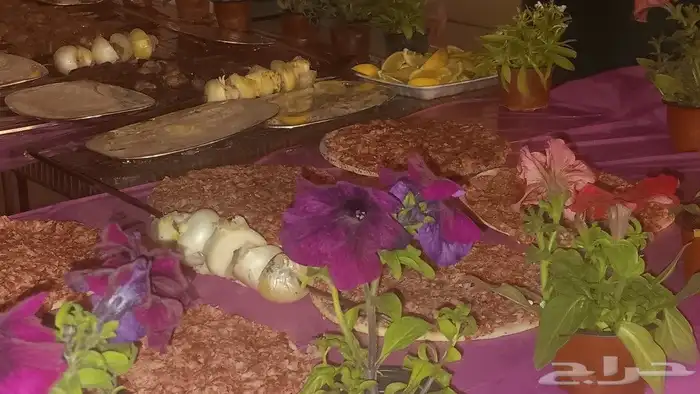 مشويات وشاورما في الاستراحات والمخيمات والمخيمات حسب الطلب 9