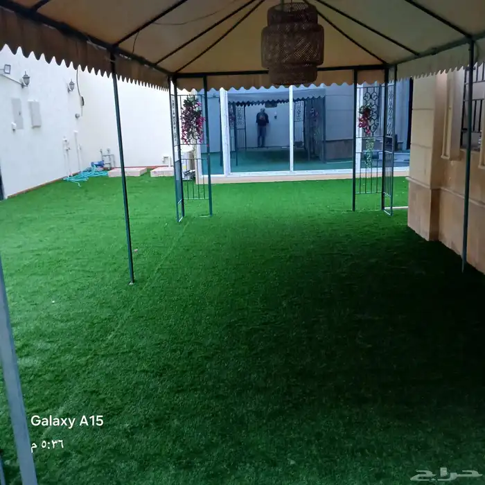 عشب ملاعب وعشب حدائق 22