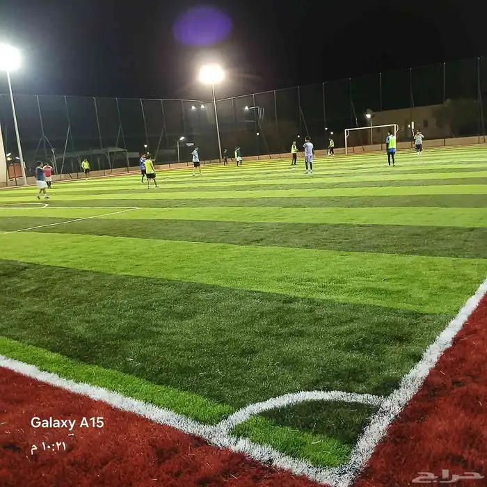 عشب ملاعب وعشب حدائق 28