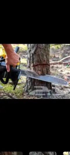 معلم زراعه وجميع انواع الزراعه 2