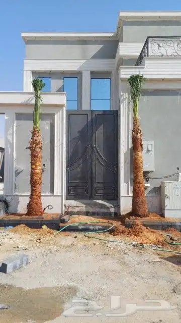 واشنطني زينه درجه اولا للبيع 9
