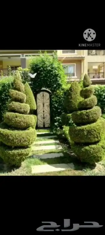 قصاص شجر الزينه بأنواعها والحدائق بأفضل واروع القصات 2025 3
