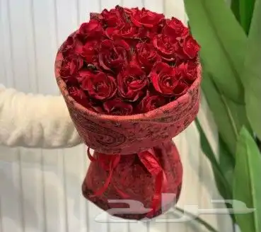 هادي من تحب بما تحب 0