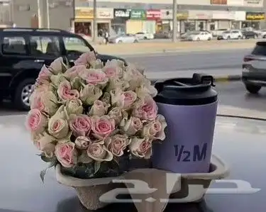 هادي من تحب بما تحب 14