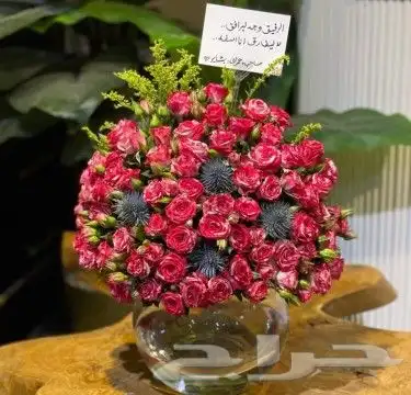 هادي من تحب بما تحب 11