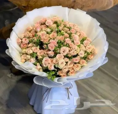 هادي من تحب بما تحب 7