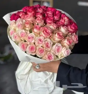 هادي من تحب بما تحب 17