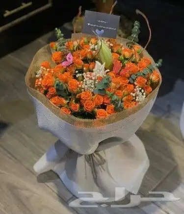 هادي من تحب بما تحب 13