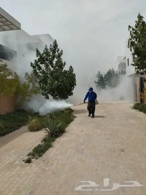 شركة مكافحة الحشرات والنظافة 7
