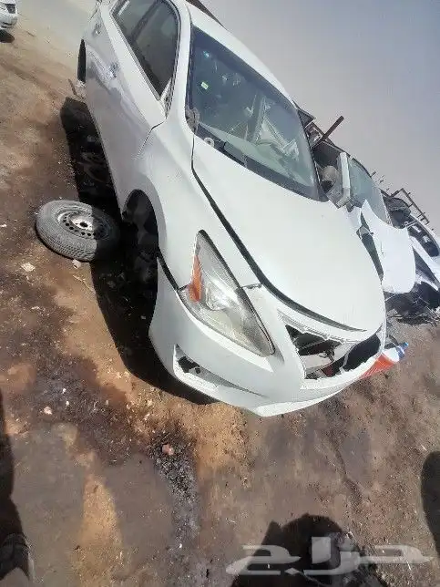 نسيان التيما2023 0