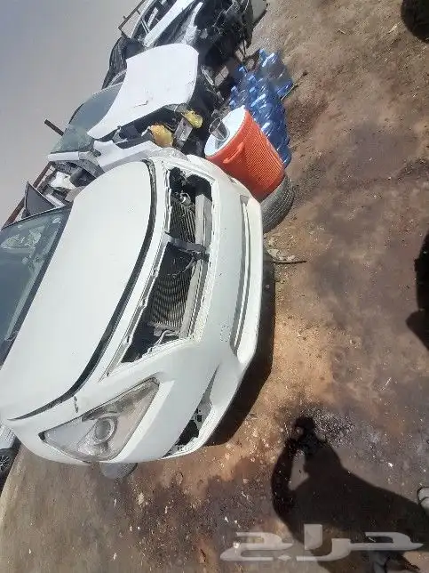 نسيان التيما2023 3