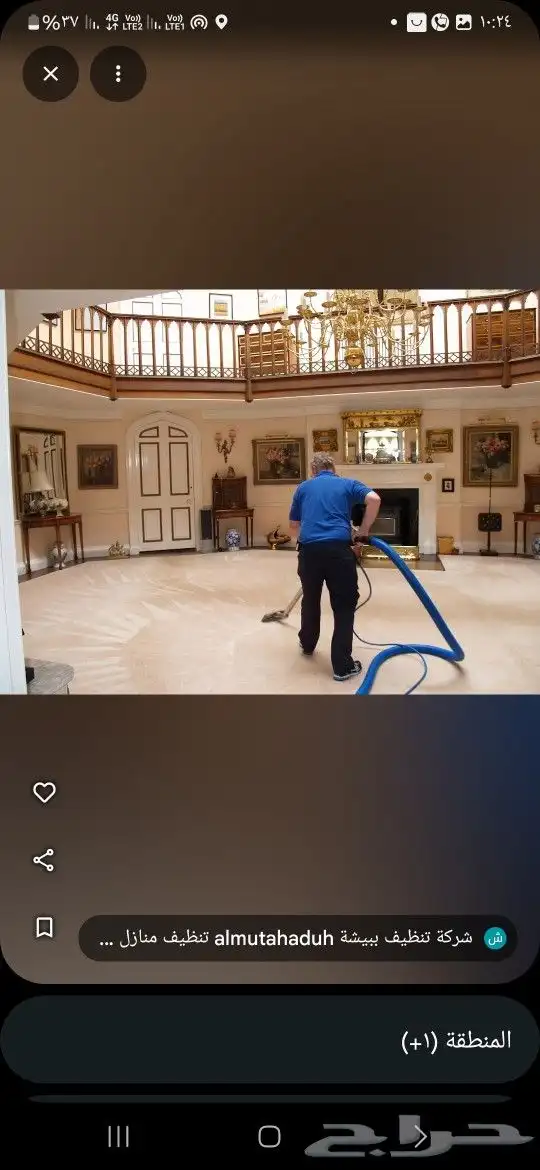 شركة مكافحة الحشرات والنظافة 10