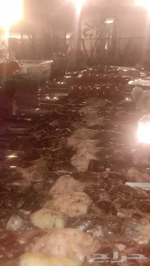مشويات وشاورما في الاستراحات والمخيمات والمخيمات حسب الطلب 5