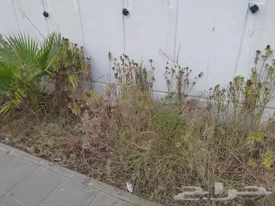 معلم زراعه وجميع انواع الزراعه 0