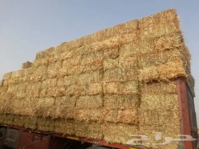حراج اعلاف برسيم تبن ورودس وزره 0