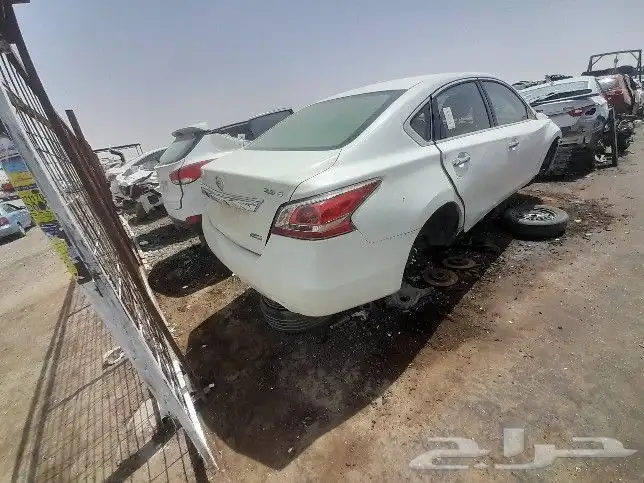 نسيان التيما2023 2