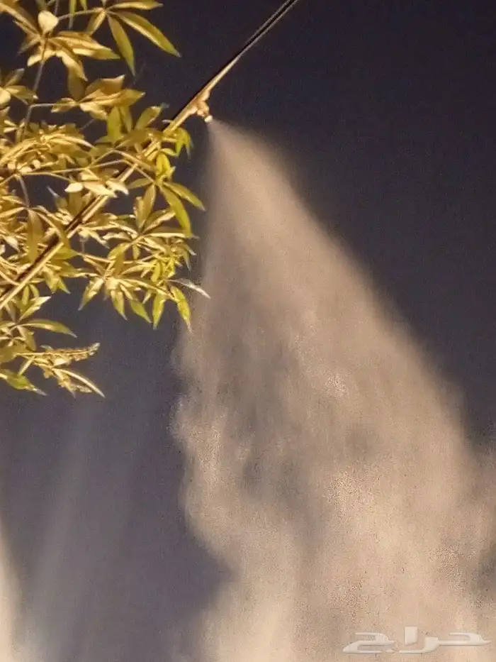 فني ضباب ورذاذ وفلاتر التحليه 3