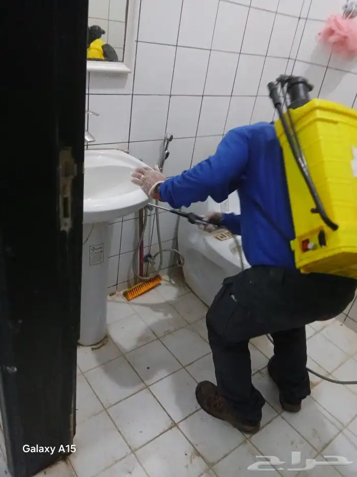 شركة مكافحة الحشرات والنظافة 13