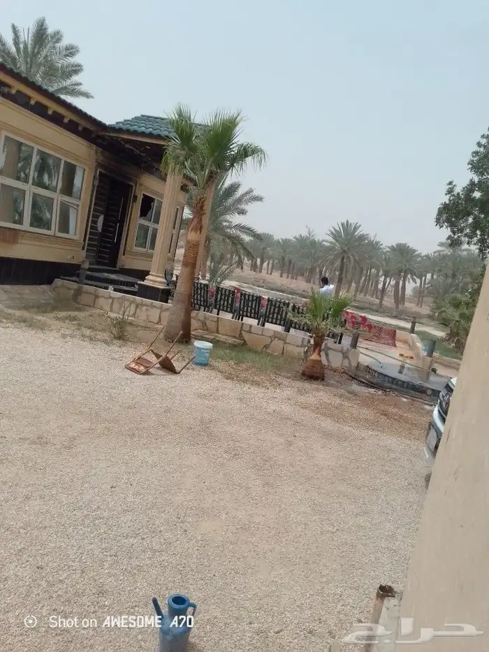 نعم الجميع اشغال النخيل تكريب عربي تكريب واشنطن تكريب هلالي 5