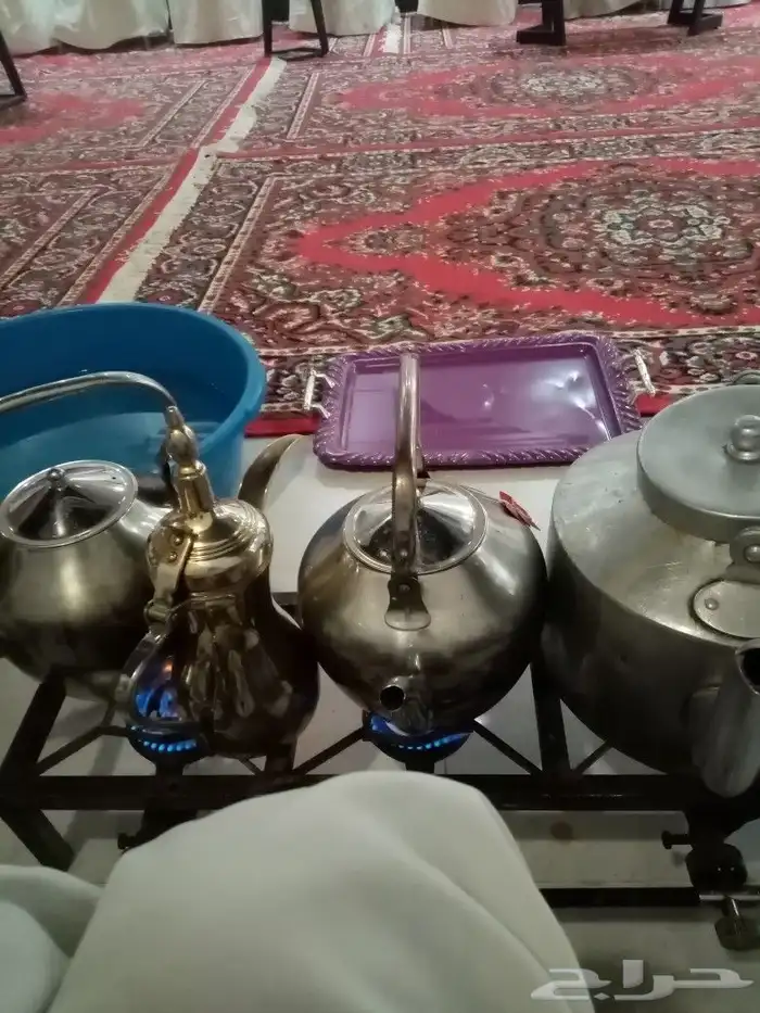 يوجد سمعات وقهوجين وكوش 1