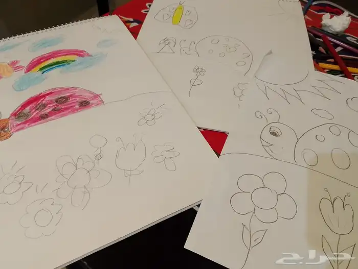 السلام عليكم منظمة حفلات اعياد ميلاد وتخرج ديكورات 11