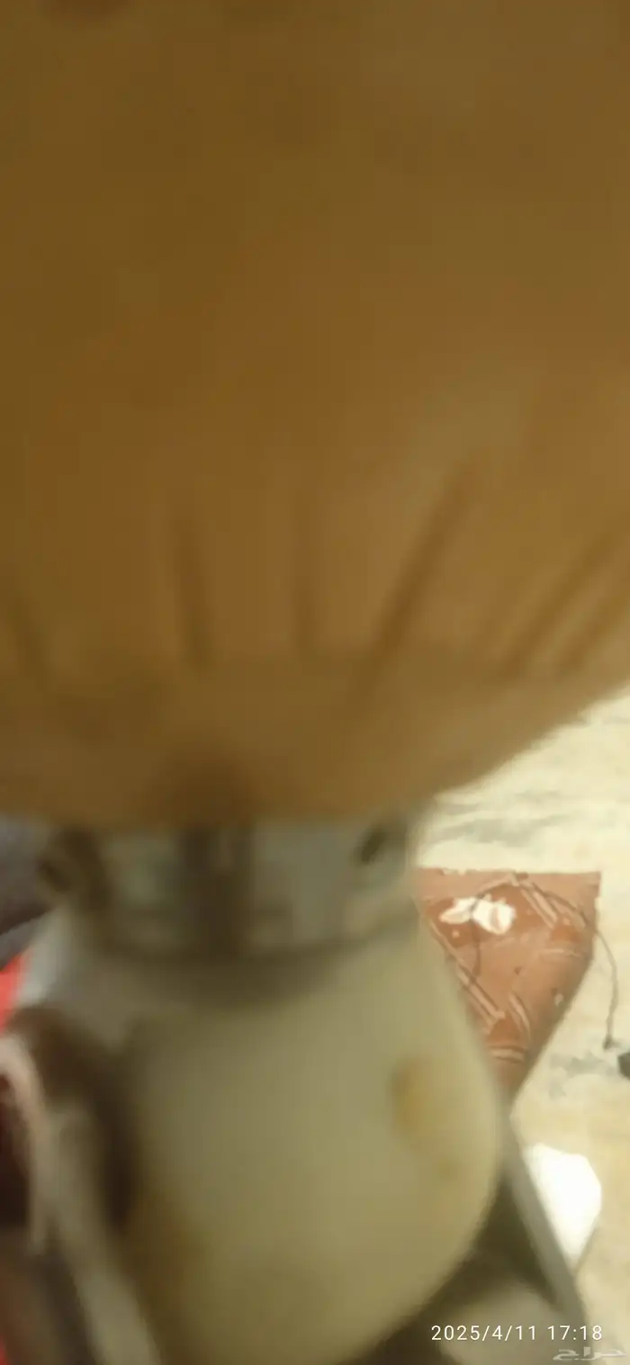 طرف صناعي للبيع 1