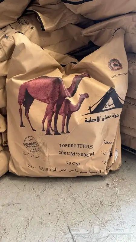 راوية درة الصباح الاصلية جميع المقاسات 3