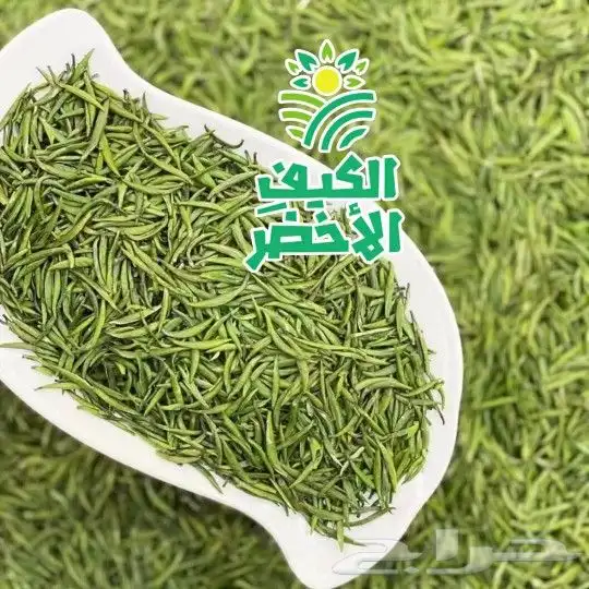 شاي الكيف الاخضر 6