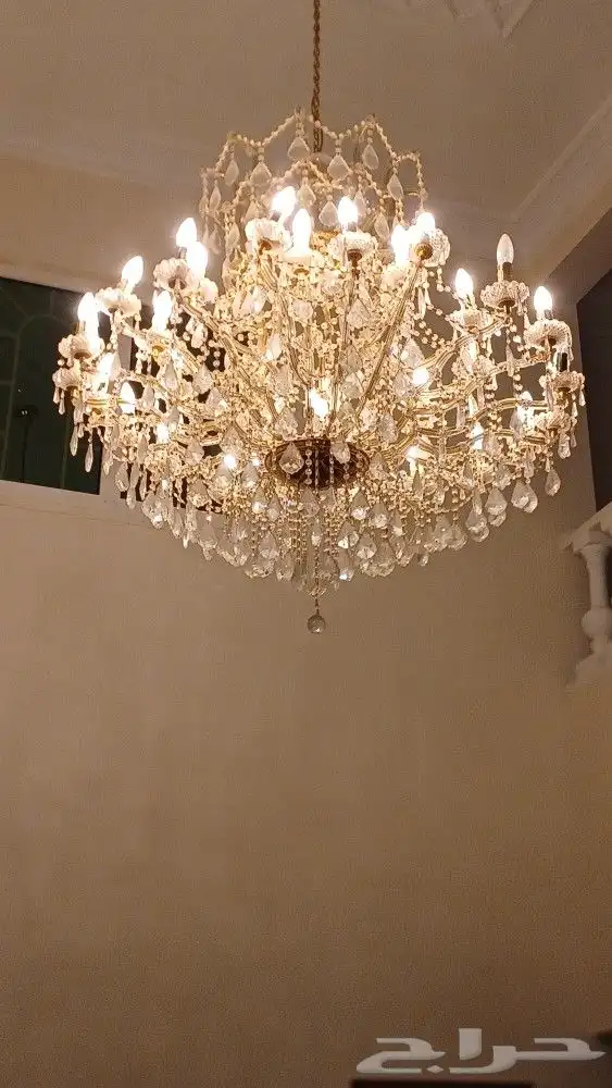 نجمه كبيره 0