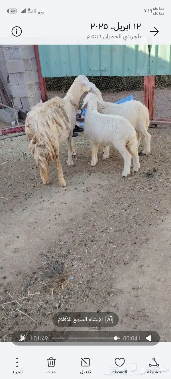 تم البيع 4