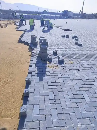 معلم باكستاني بلادور اندلك بلات سلاميك ذبيت أجر رياض 0