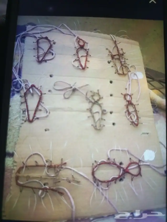 شبك لصيد الصقور 0