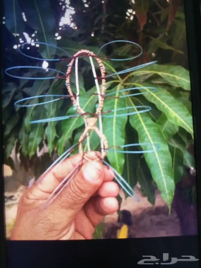 شبك لصيد الصقور 1