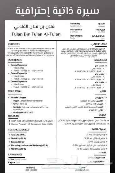 تصميم cv بلغتين احترافي بسعر رمزي فقط ب20 2