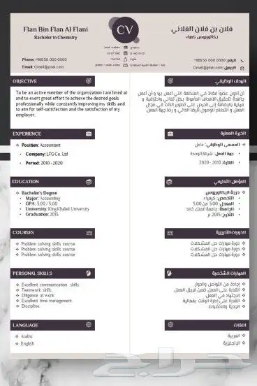 تصميم cv بلغتين احترافي بسعر رمزي فقط ب20 0