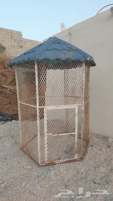 شبك عصافير 1